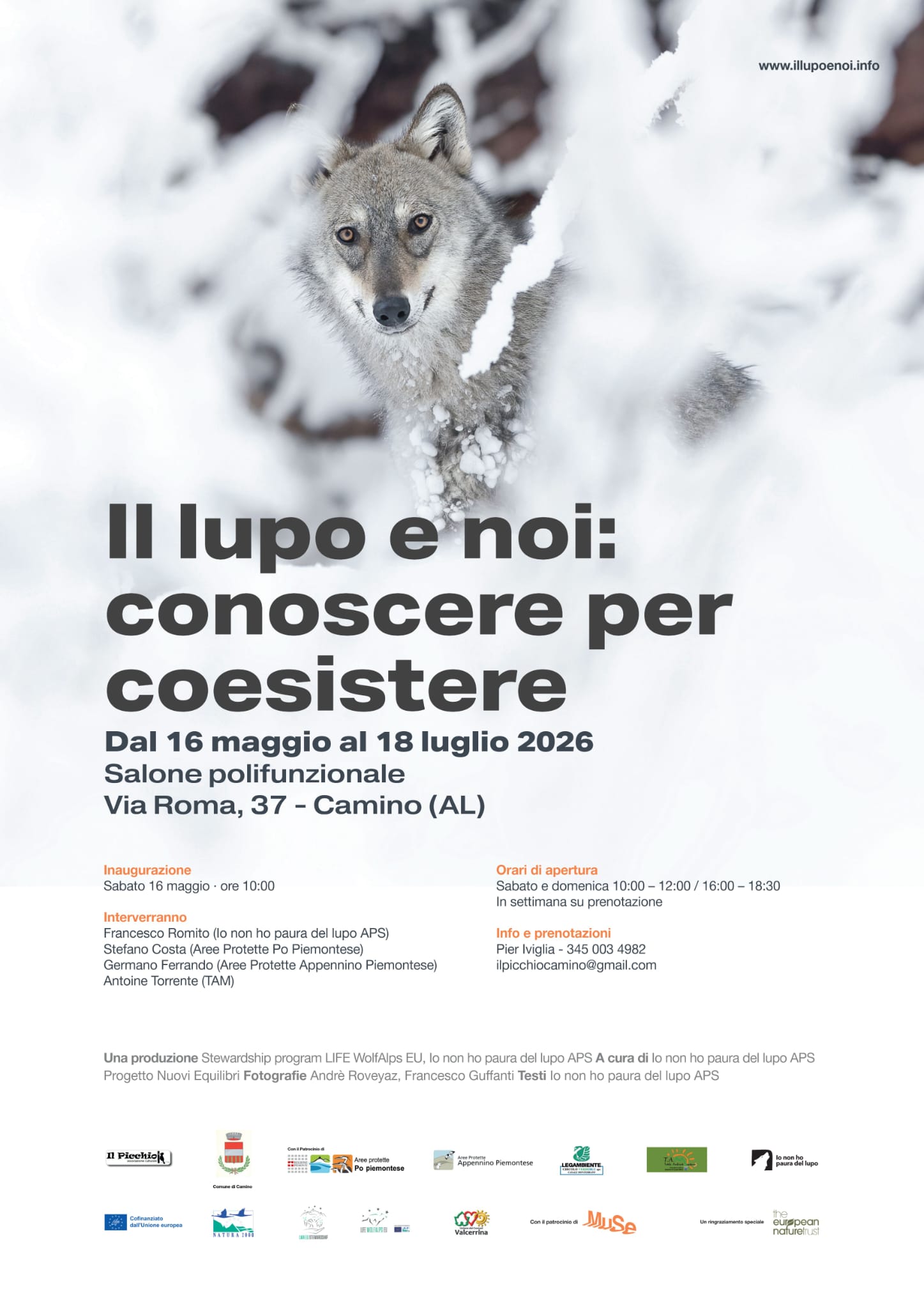 Il lupo e noi: conoscere per coesistere